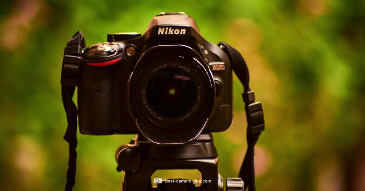 Aperture Essentials Guide - Best Camera Tips