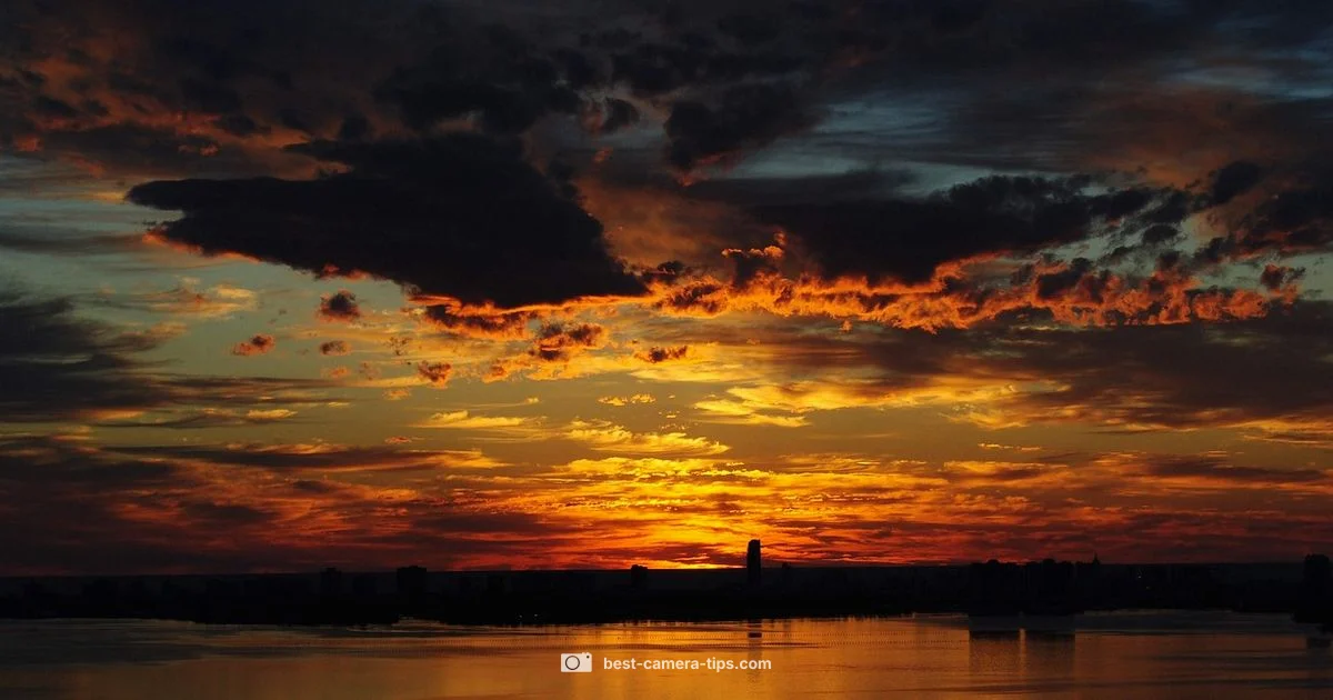 Live Camera Florida Live Camera Florida - Best Camera Tips