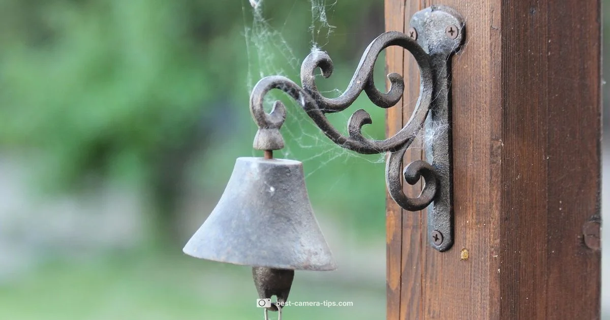 Ring Mount Removal - Best Camera Tips