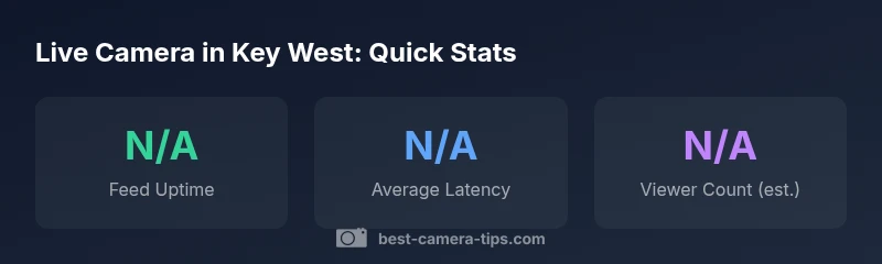 Stats snapshot of Key West live camera feeds