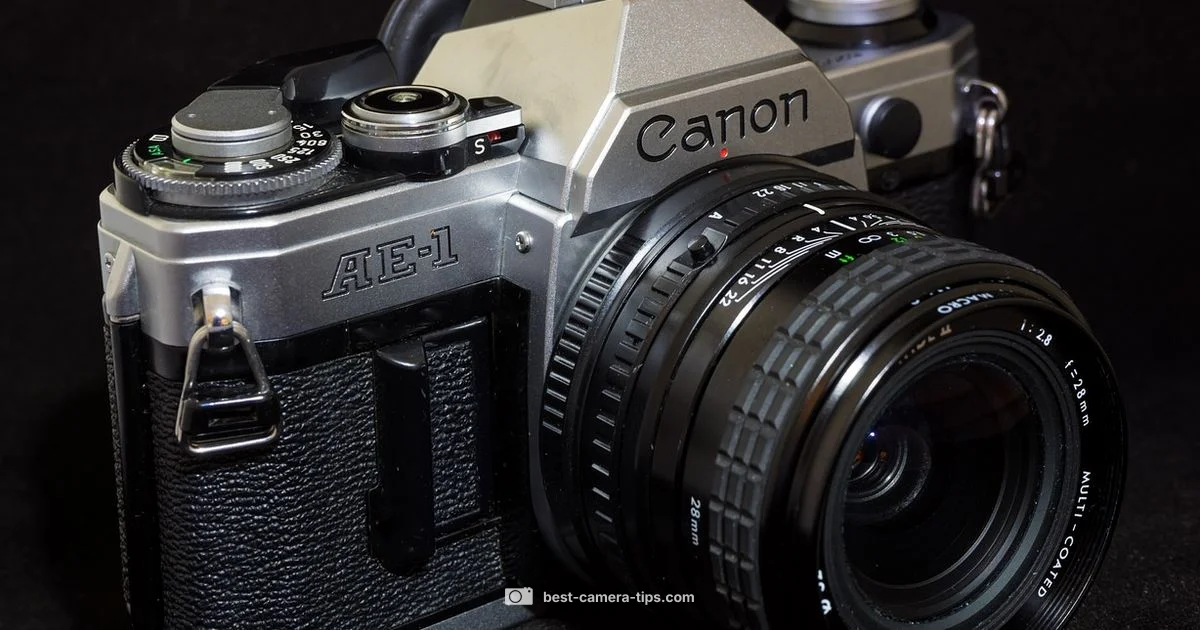 Shutter Lifespan - Best Camera Tips