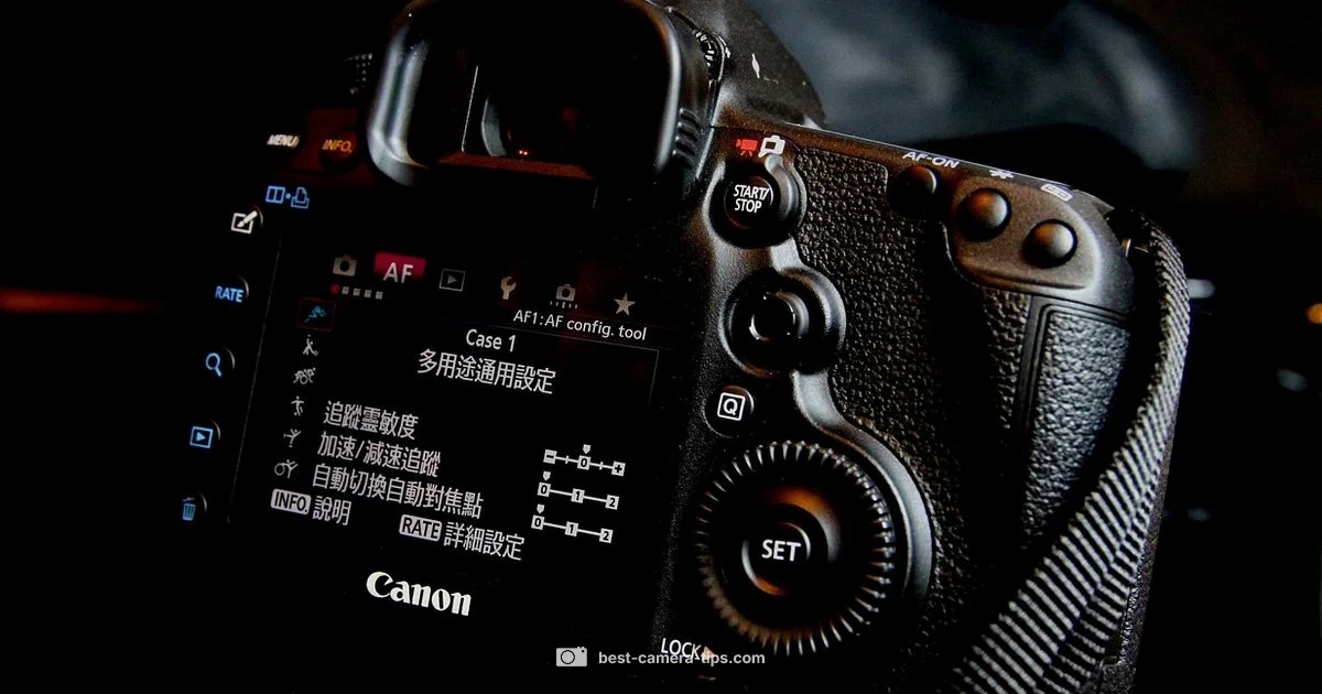 iPhone Camera System - Best Camera Tips