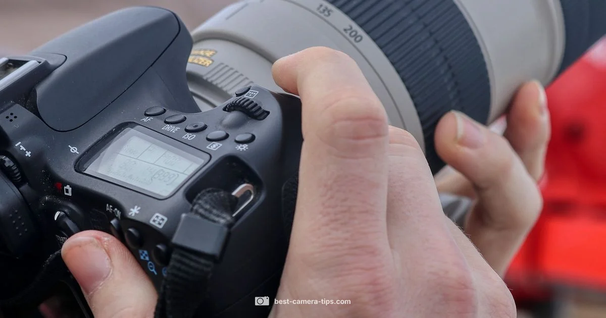 Canon R7 Overview - Best Camera Tips