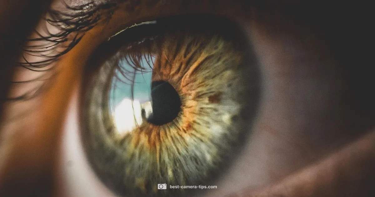 Night Vision Camera Guide - Best Camera Tips