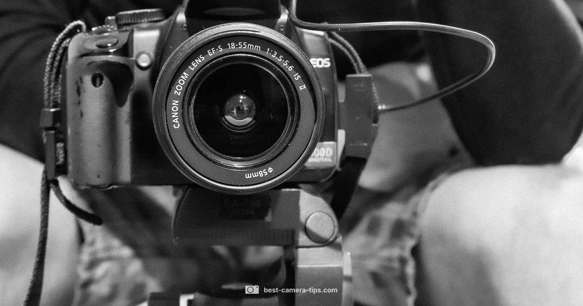 Beginner Canon Rebel Beginner Canon Rebel - Best Camera Tips