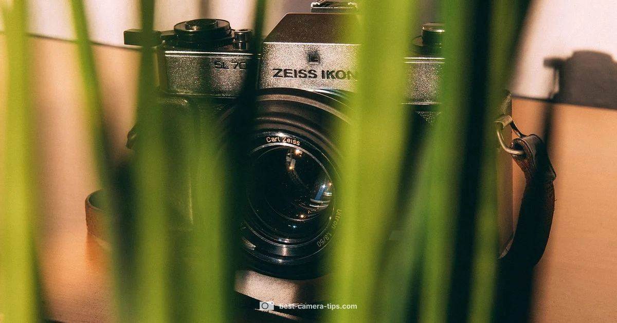 Zeiss Cameras: Reality - Best Camera Tips