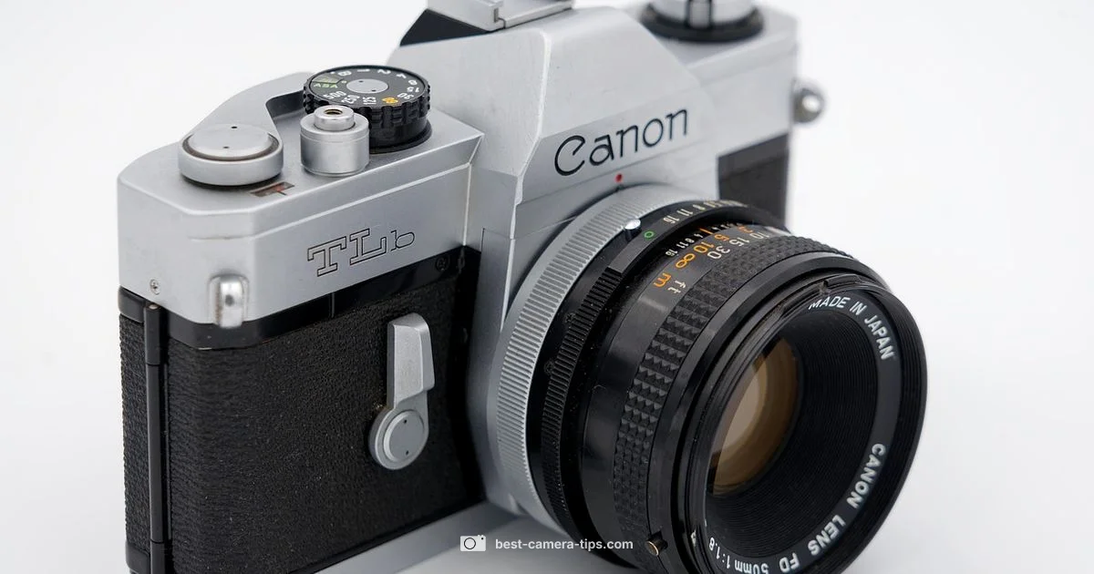 Film Camera Guide - Best Camera Tips