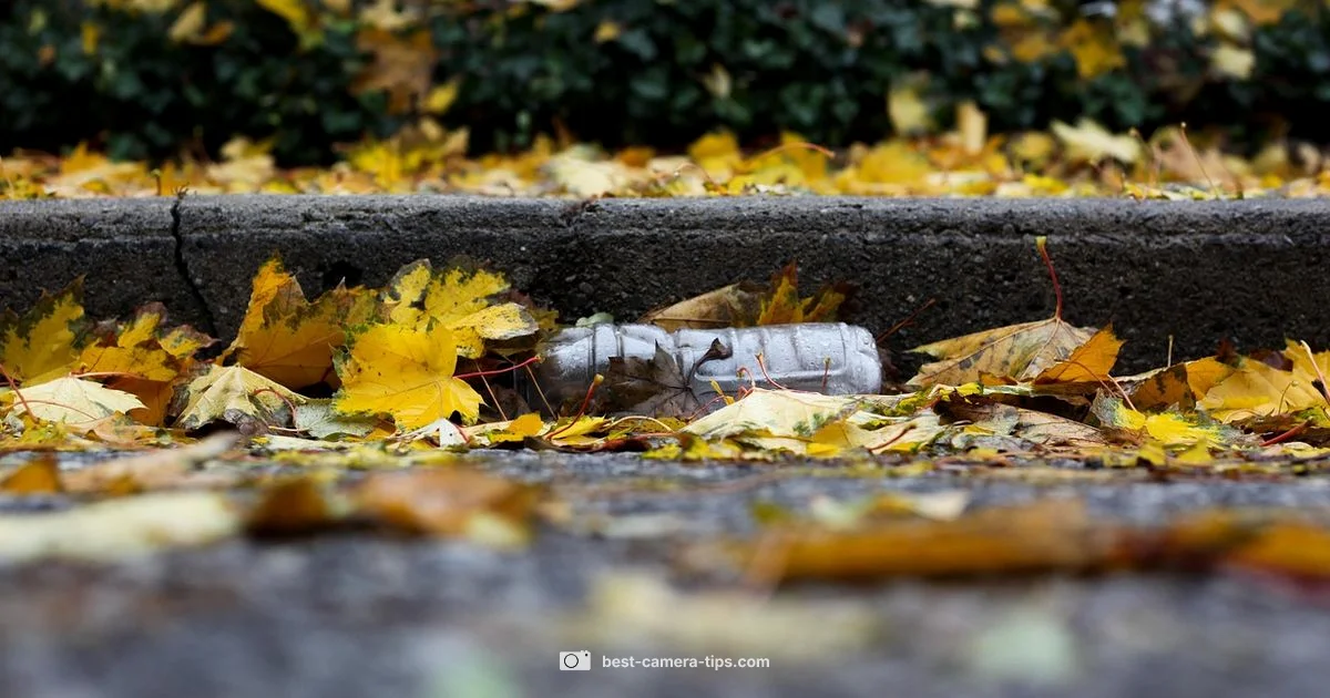 Eco Impact of Disposables - Best Camera Tips