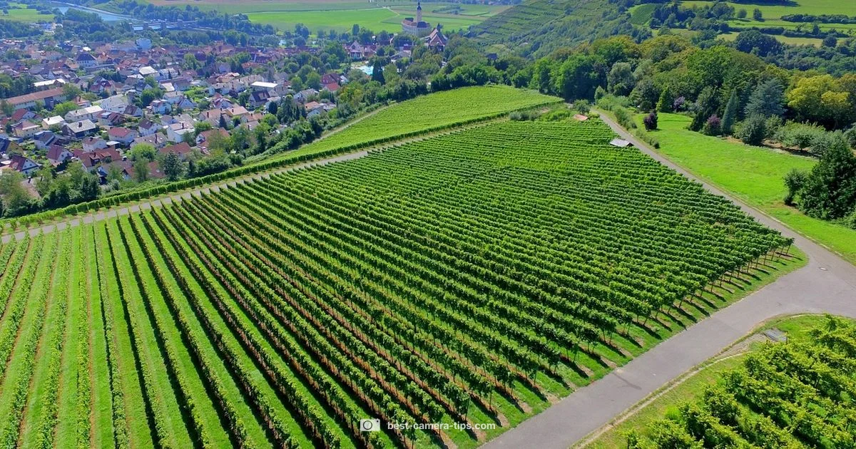 Drone with Camera Guide Drone with Camera Guide - Best Camera Tips