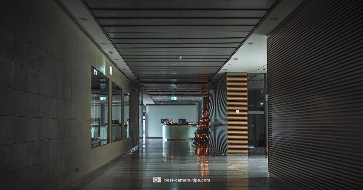 Workplace Camera Guide - Best Camera Tips