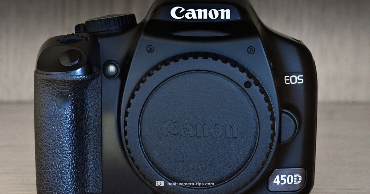 Mirror View Basics - Best Camera Tips