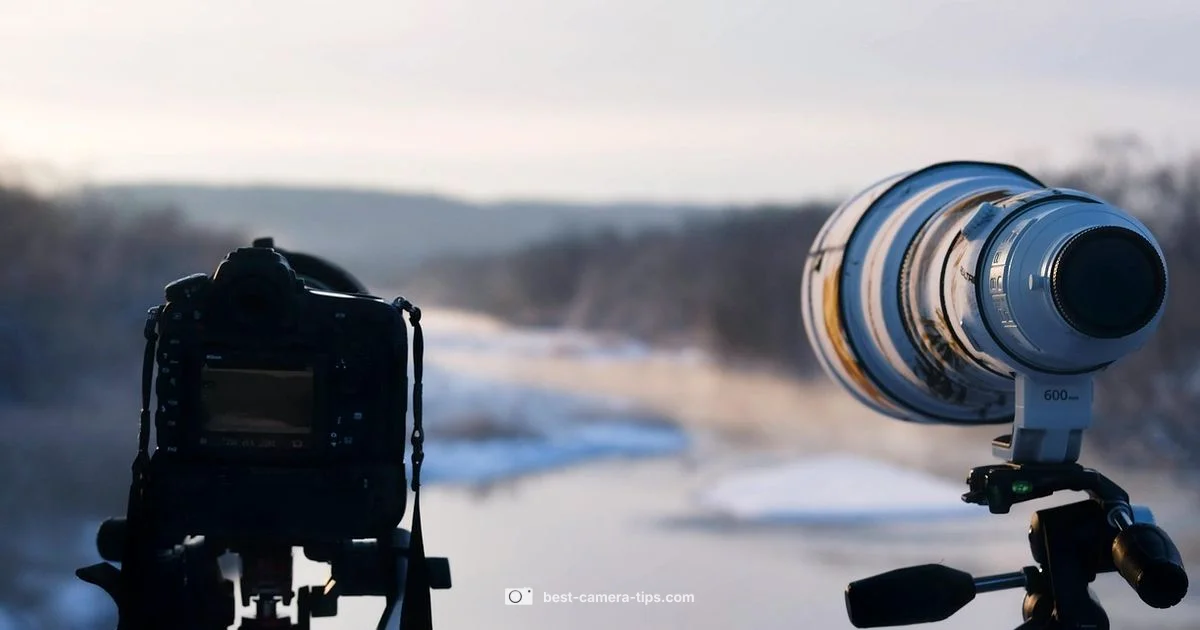 Nikon P950 Guide Nikon P950 Guide - Best Camera Tips