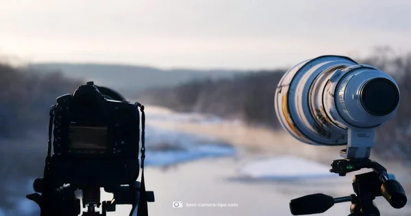 Nikon P950 Guide - Best Camera Tips