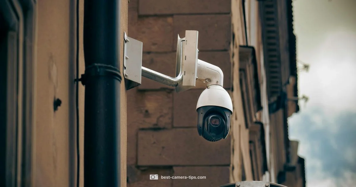 Near Me Picks - Best Camera Tips