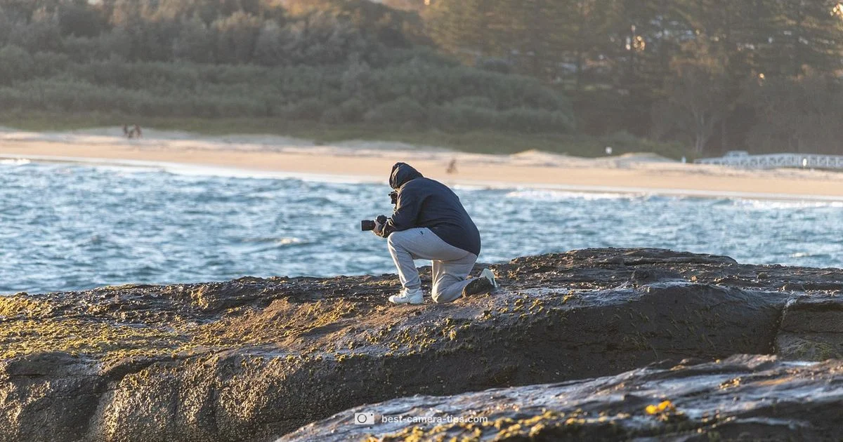 Pet Photo Tips Pet Photo Tips - Best Camera Tips