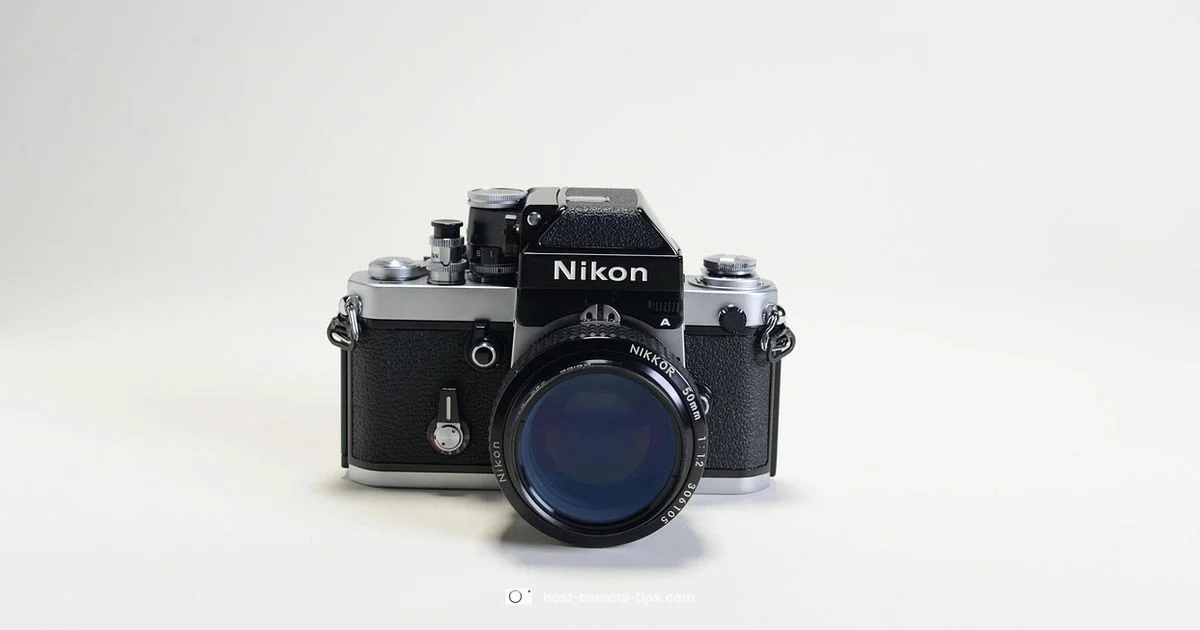 Nikon F Overview - Best Camera Tips