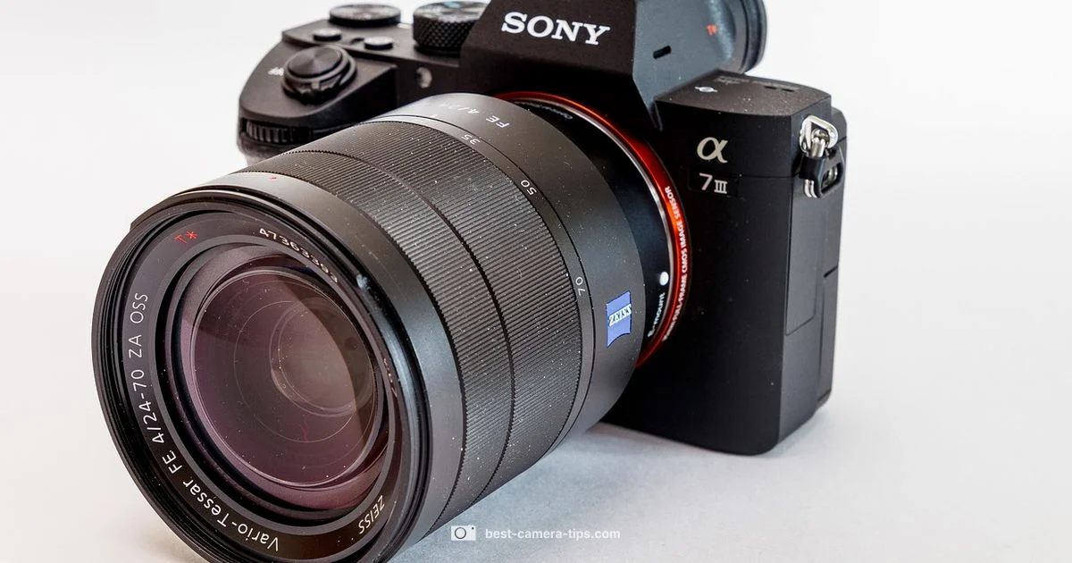 Rent Camera Guide Rent Camera Guide - Best Camera Tips