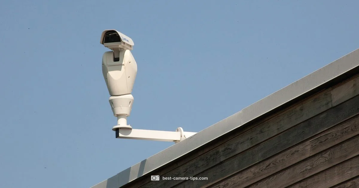 Recording Signals - Best Camera Tips