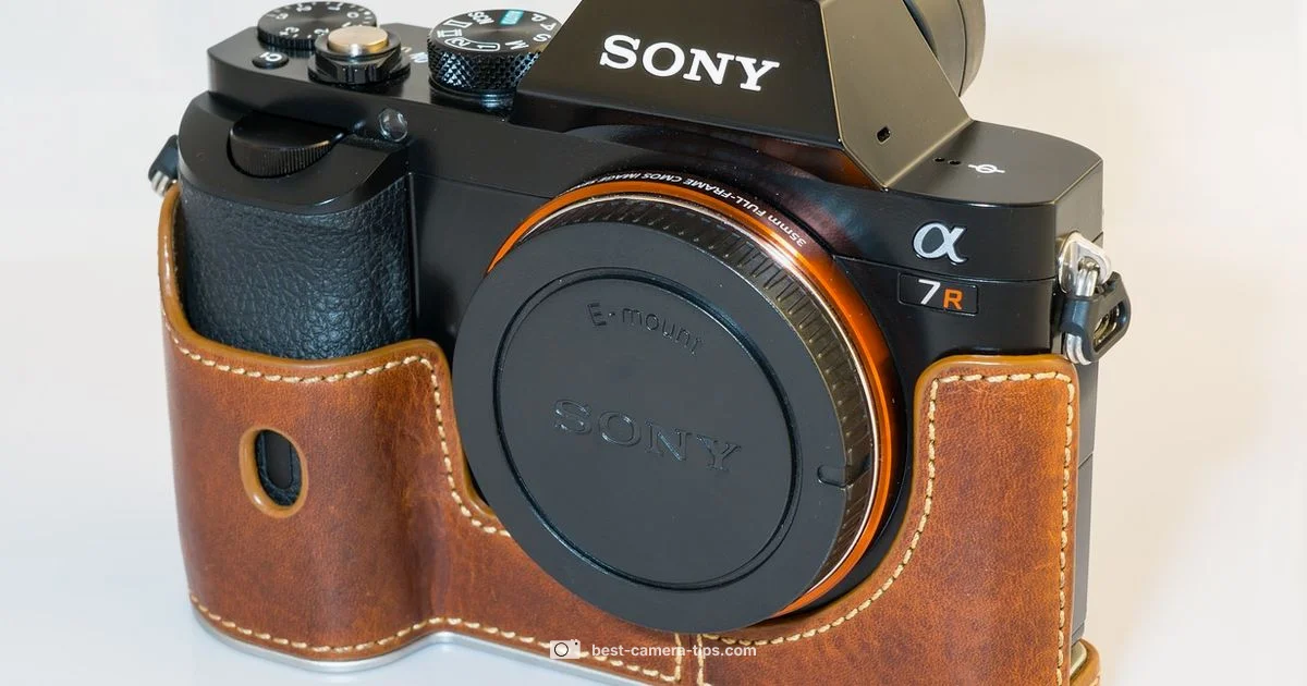 DSLR vs Camera - Best Camera Tips