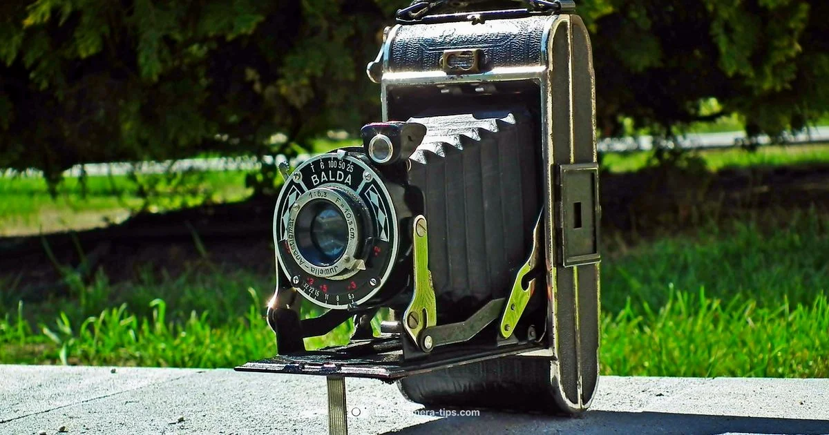 Camera Essentials Camera Essentials - Best Camera Tips