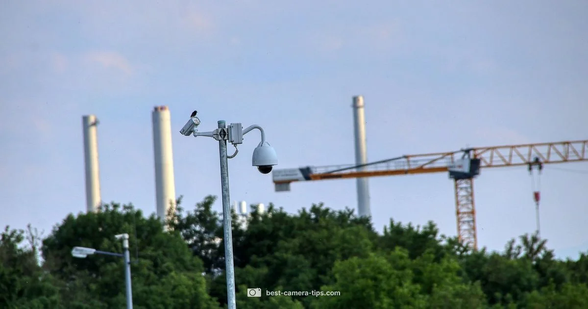 Camera Watch Check - Best Camera Tips