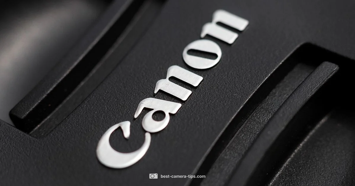 Brand Pick Guide - Best Camera Tips