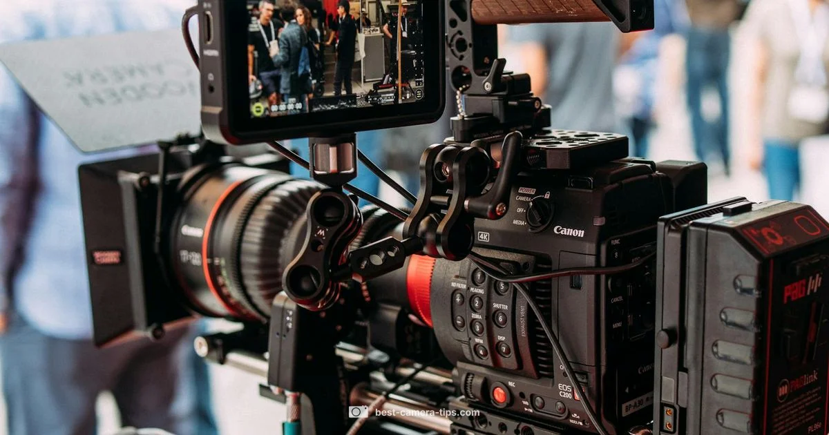 Live Camera Feeds - Best Camera Tips