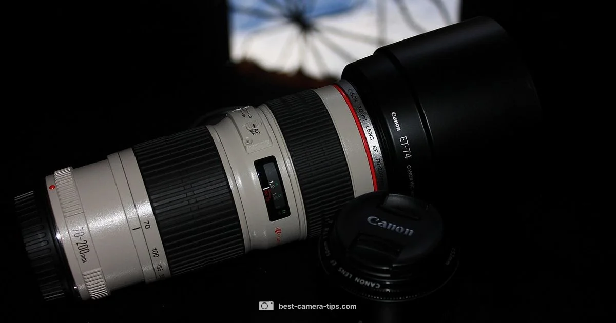 Camera 70D Essentials - Best Camera Tips